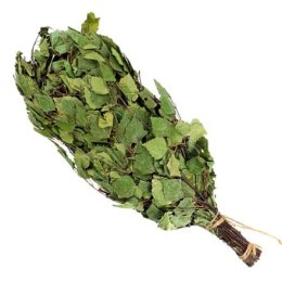 Witki Brzozowe do Sauny - Naturalna Pielęgnacja i Aromaterapia